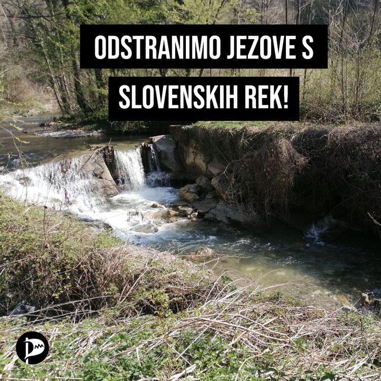 Odstranjevanje ovir s slovenskih rek