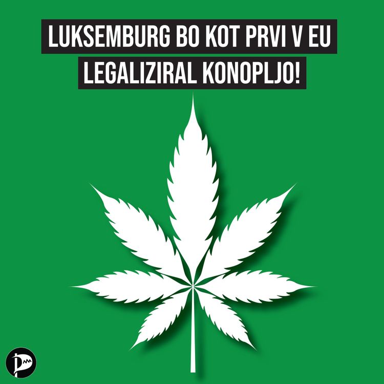 Luksemburg bo kot prvi v EU legaliziral konopljo