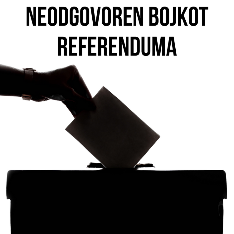 Izjava Piratov ob izidu referenduma: Pozivi k bojkotu so bili neodgovorni
